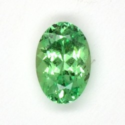 Grenat Mérélani 0,61 ct